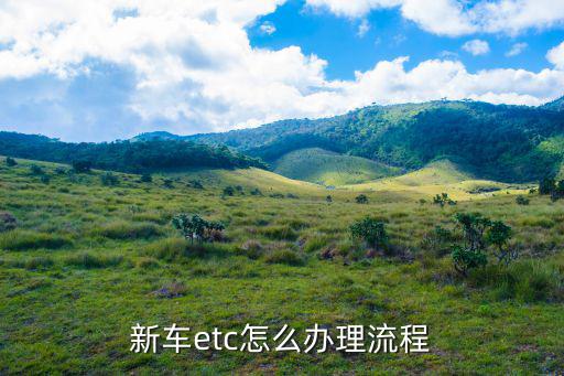 新車etc怎么辦理流程