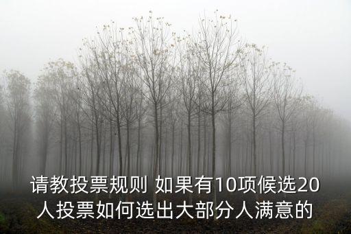 請教投票規(guī)則 如果有10項(xiàng)候選20人投票如何選出大部分人滿意的
