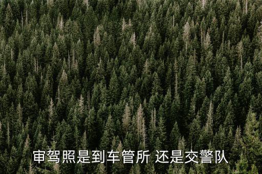 駕照審驗，審駕照是到車管所 還是交警隊
