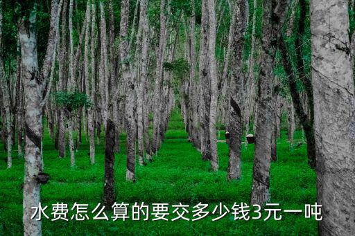 水費怎么算的要交多少錢3元一噸