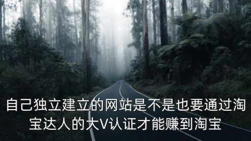 自己獨立建立的網站是不是也要通過淘寶達人的大V認證才能賺到淘寶