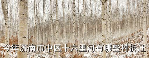 十六里河，今年濟(jì)南市中區(qū)十六里河有哪些村拆遷