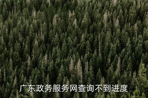 廣東政務服務網查詢不到進度