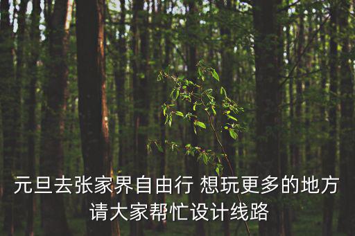 元旦自由行，元旦去張家界自由行 想玩更多的地方 請大家幫忙設計線路
