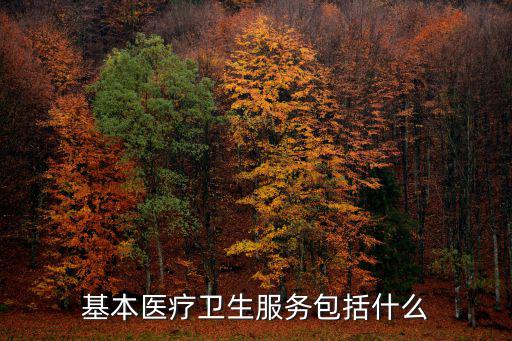基本醫療衛生服務包括什么
