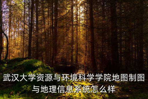 武漢大學(xué)資源與環(huán)境科學(xué)學(xué)院地圖制圖與地理信息系統(tǒng)怎么樣