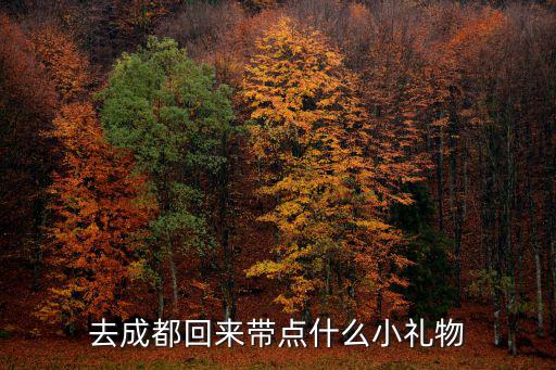 去成都回來帶點什么小禮物