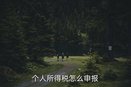個人所得稅怎么申報