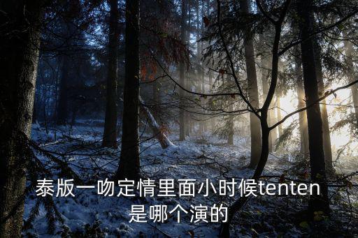泰版一吻定情里面小時(shí)候tenten是哪個(gè)演的