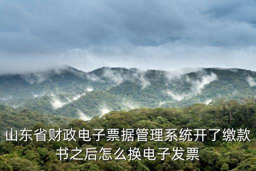 山東省電子，山東哪個城市電子廠多