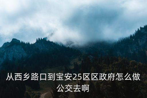 從西鄉路口到寶安25區區政府怎么做公交去啊