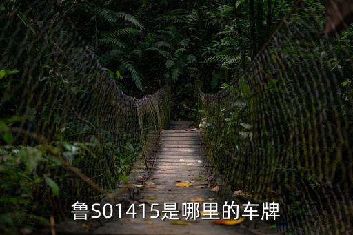 魯S01415是哪里的車牌