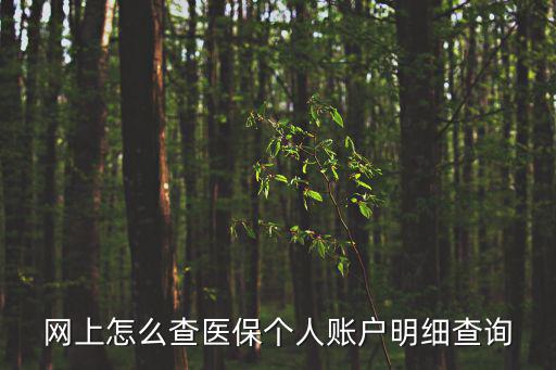 網上怎么查醫保個人賬戶明細查詢