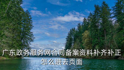 廣東政務服務網合同備案資料補齊補正怎么進去頁面