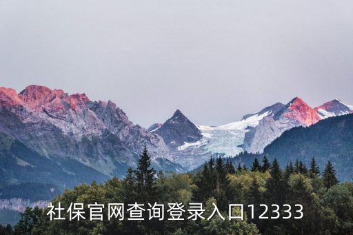 社保官網(wǎng)查詢登錄入口12333