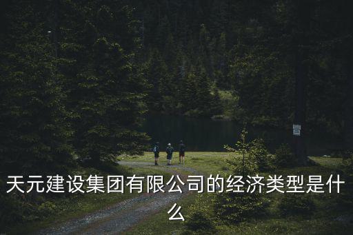 廣東天元實業集團股份有限公司，天元建設集團有限公司的經濟類型是什么