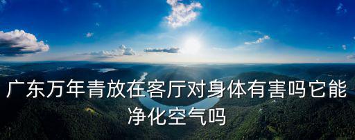 廣東萬年青放在客廳對身體有害嗎它能凈化空氣嗎