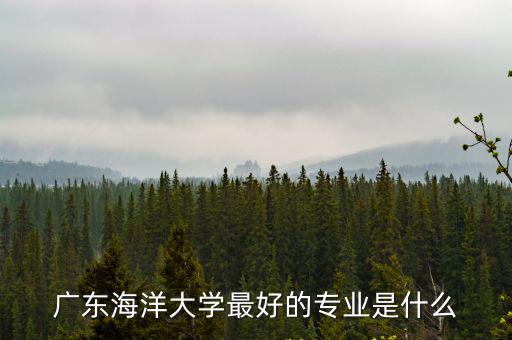 廣東海洋大學專業，廣東海洋大學現在什么專業最好請給出詳細專業