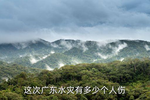 這次廣東水災(zāi)有多少個人傷