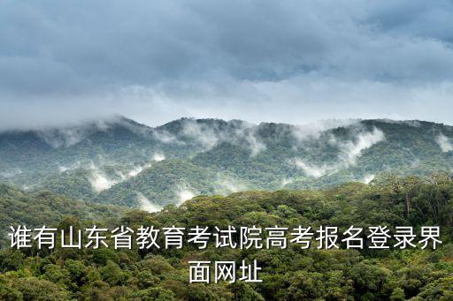 山東藝考網(wǎng)，怎么樣查藝考分?jǐn)?shù)排名