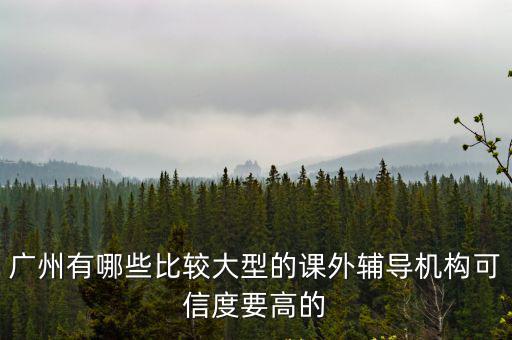 廣州有哪些比較大型的課外輔導機構可信度要高的