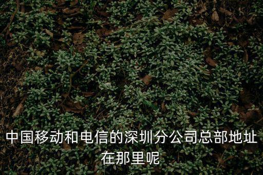 中國移動深圳分公司，關于深圳的移動通信的公司有哪些