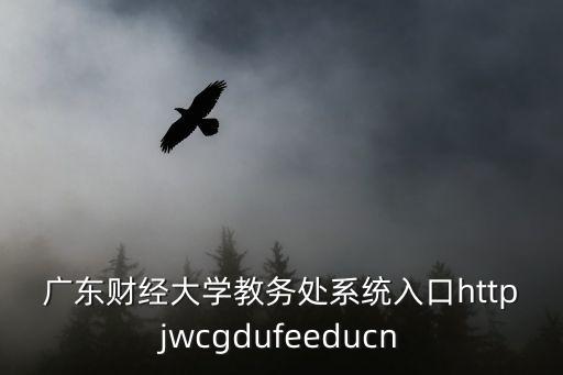 廣東財經(jīng)大學(xué)教務(wù)處系統(tǒng)入口httpjwcgdufeeducn