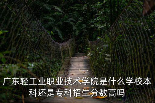 廣東輕工業(yè)，廣東輕工業(yè)技師學院是大專嗎