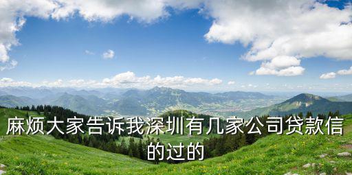 麻煩大家告訴我深圳有幾家公司貸款信的過的
