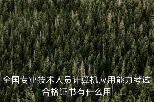 全國專業技術人員計算機應用能力考試合格證書有什么用