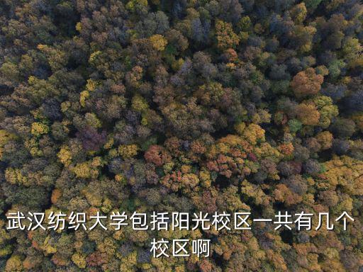 武漢紡織大學包括陽光校區一共有幾個校區啊