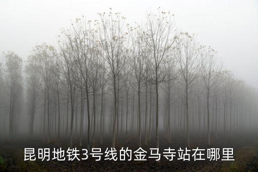 地鐵3號線站點，武漢地鐵三號線站點離園博園最近的站點