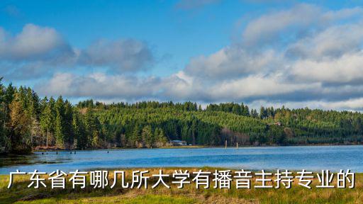 廣東省廣播電視大學，廣東哪個大學廣告專業突出