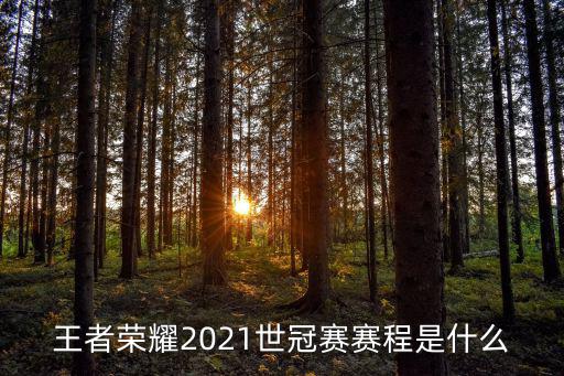 王者榮耀2021世冠賽賽程是什么