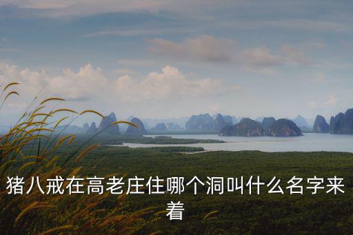 豬八戒在高老莊住哪個洞叫什么名字來著