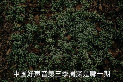 中國好聲音3，中國好聲音第三季冠軍是誰