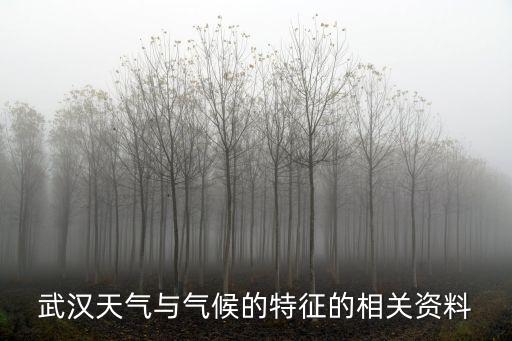 武漢的天氣預報，我想知道武漢最近一周的天氣和氣溫