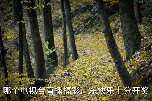 哪個(gè)電視臺(tái)直播福彩廣東快樂(lè)十分開獎(jiǎng)