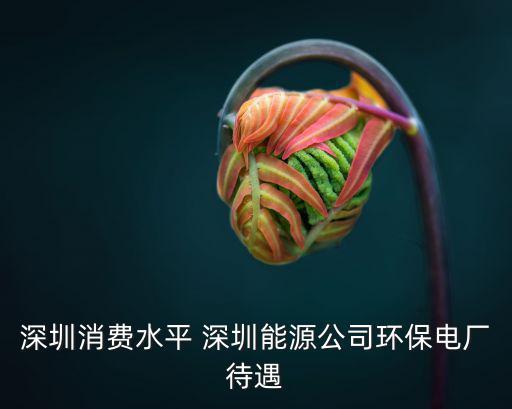 深圳消費(fèi)水平 深圳能源公司環(huán)保電廠待遇