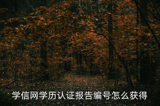 學信網(wǎng)學歷認證報告編號怎么獲得