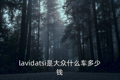 lavidatsi是大眾什么車多少錢