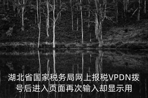 湖北省國家稅務(wù)局網(wǎng)上報(bào)稅VPDN撥號(hào)后進(jìn)入頁面再次輸入?yún)s顯示用