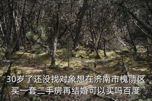 槐蔭二手房，濟南槐蔭區73萬二手房我出價66低嗎