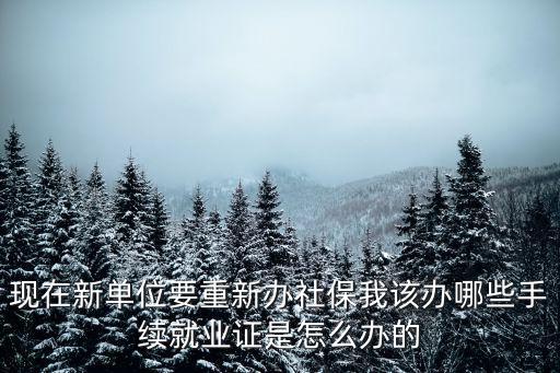 就業服務與就業管理規定，就業服務制度是什么