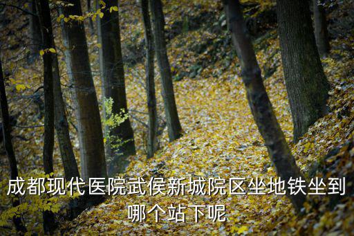 成都現(xiàn)代醫(yī)院武侯新城院區(qū)坐地鐵坐到哪個(gè)站下呢