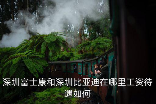 深圳富士康和深圳比亞迪在哪里工資待遇如何