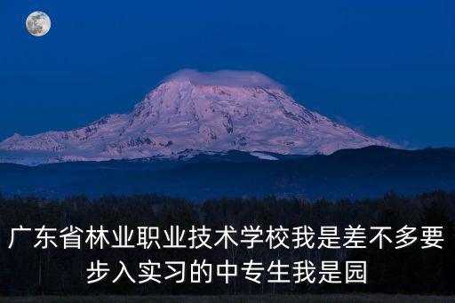 廣東省林業(yè)職業(yè)技術學校我是差不多要步入實習的中專生我是園