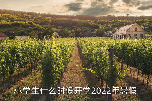 小學生什么時候開學2022年暑假