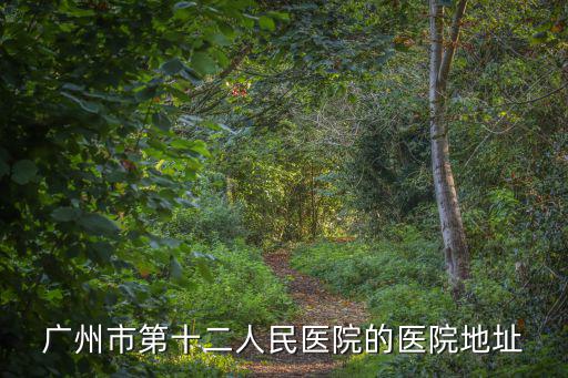 廣州市第十二人民醫(yī)院，廣州第十二人民醫(yī)院坐車線路怎么樣