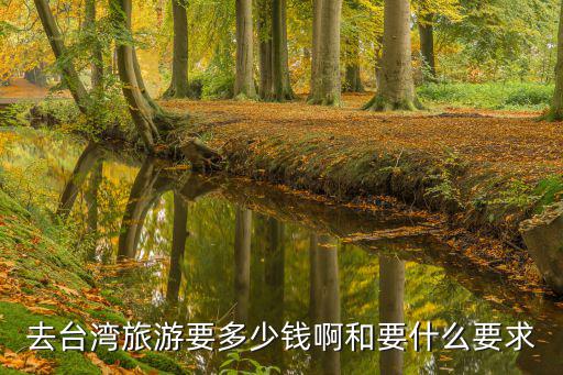 臺灣旅游，去臺灣旅游要多少錢啊和要什么要求